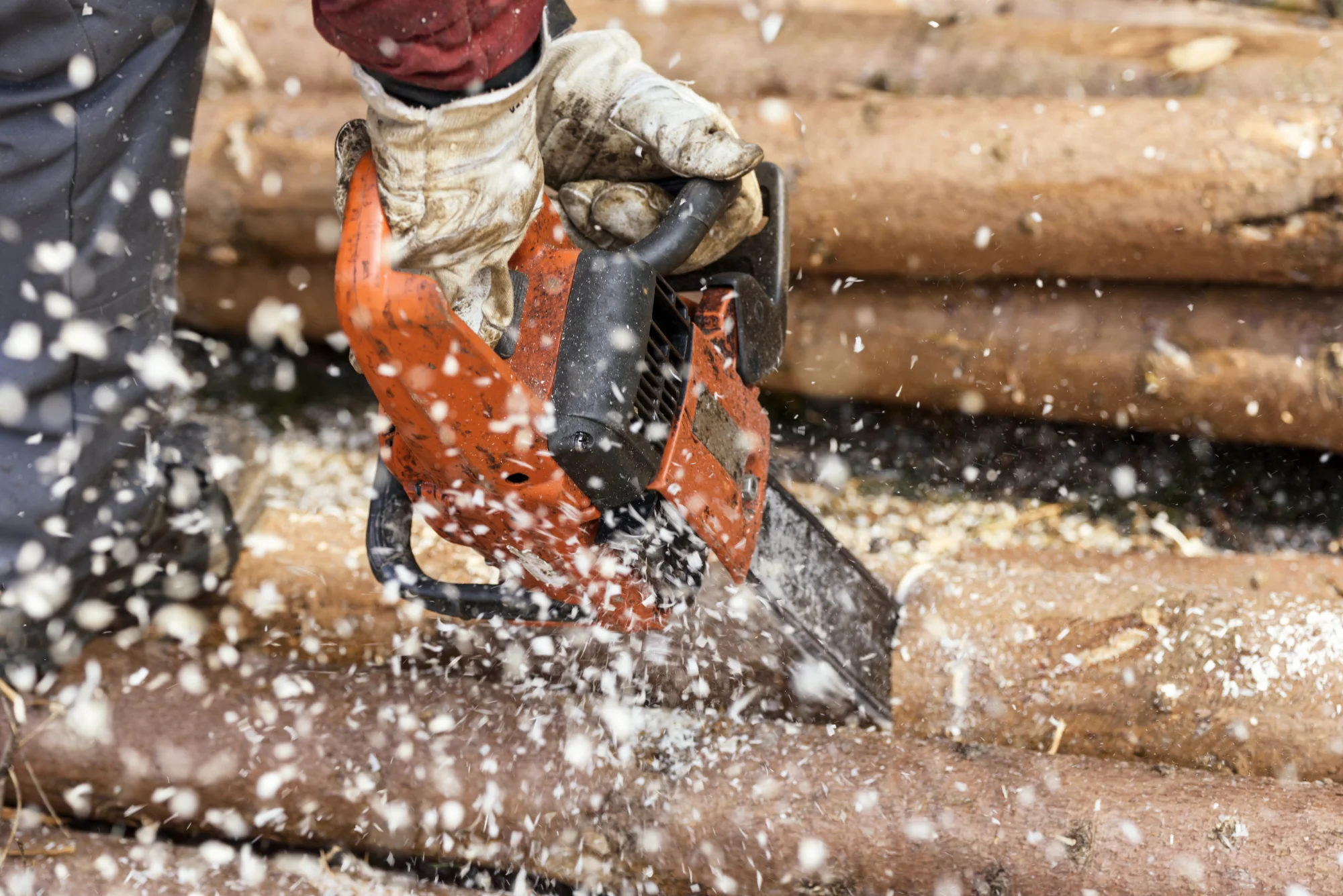 germany-muehlenbach-logger-s-hands-sawing-tree-t-2026-09-22-14-06-14-utc