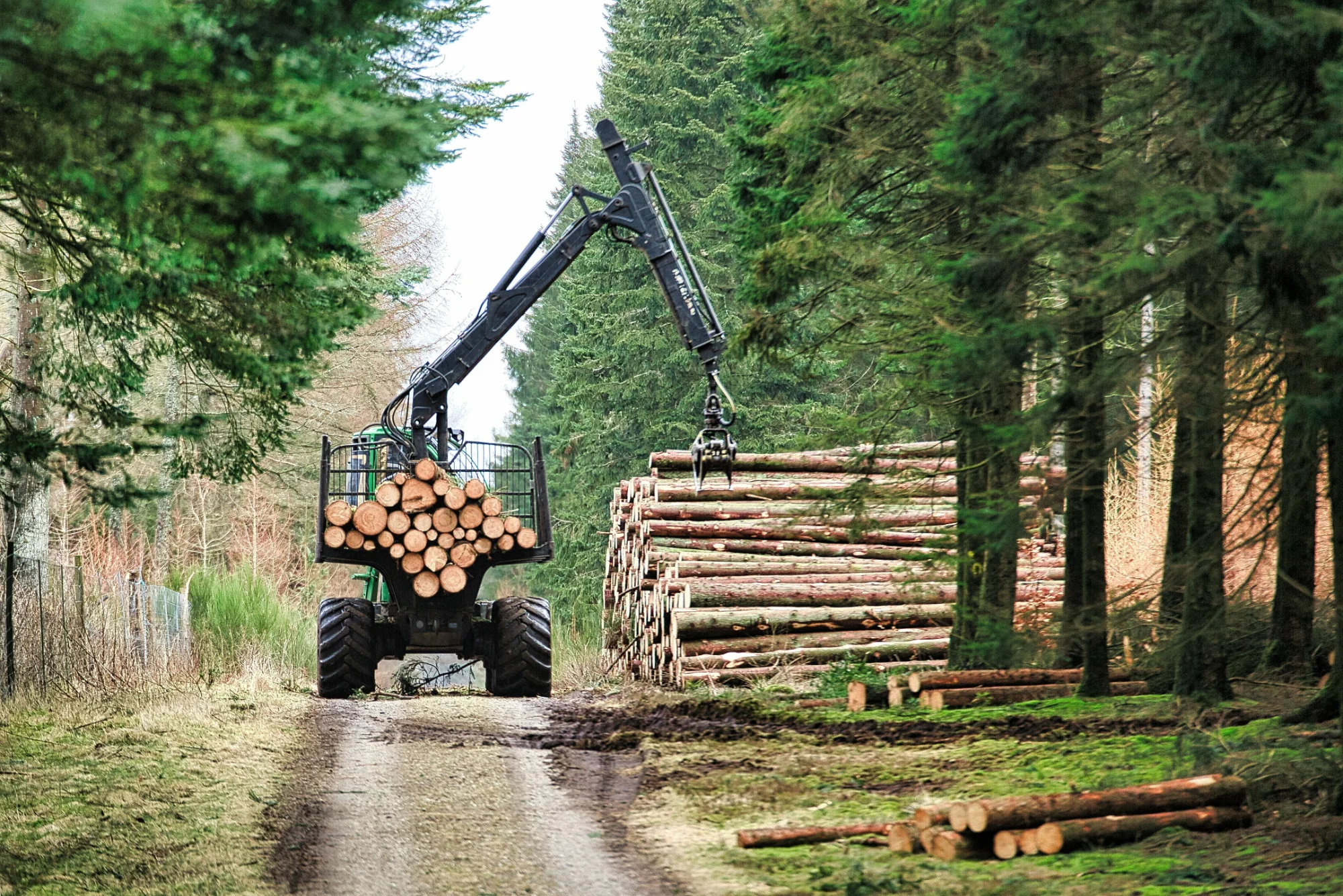 Forestry Workers Denmark