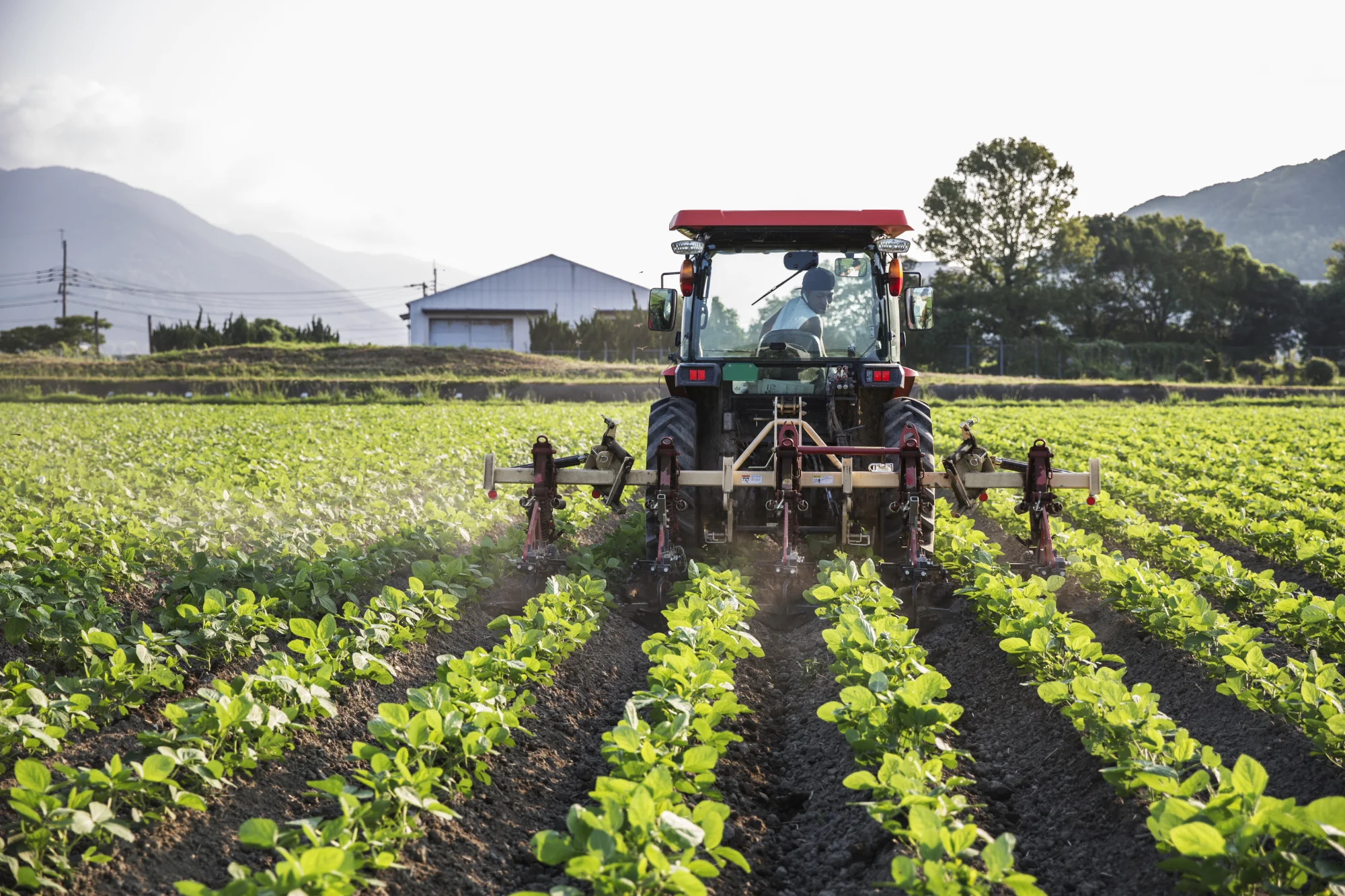 tractor-tilling-soil-in-a-verdant-farm-field-2026-09-24-13-43-11-utc Agriculture workers Denmark